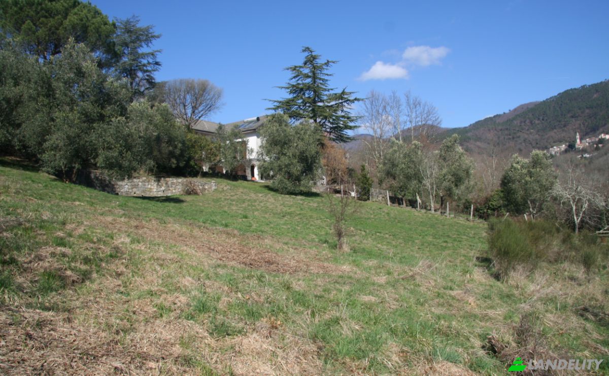 Villa for Sale Case Sparse Calcinara, 19020 Sesta Godano SP, Sesta Godano, Province of La Spezia, Liguria, Italy. Photo 18