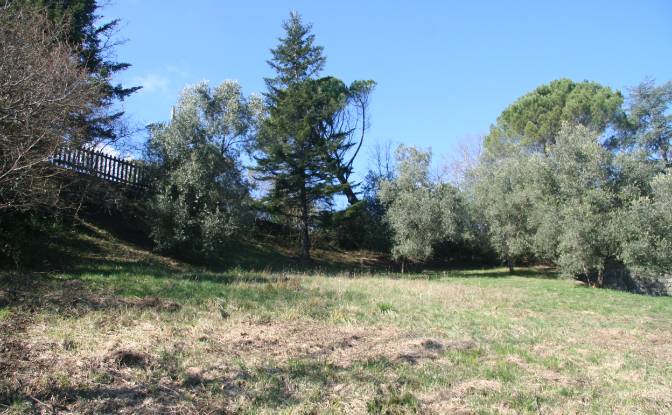 Villa for Sale Case Sparse Calcinara. Photo#19