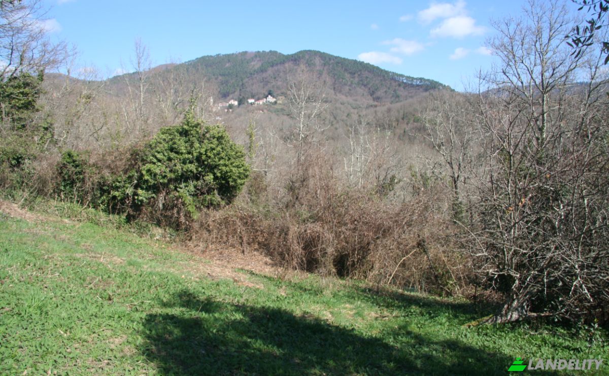 Villa for Sale Case Sparse Calcinara, 19020 Sesta Godano SP, Sesta Godano, Province of La Spezia, Liguria, Italy. Photo 23