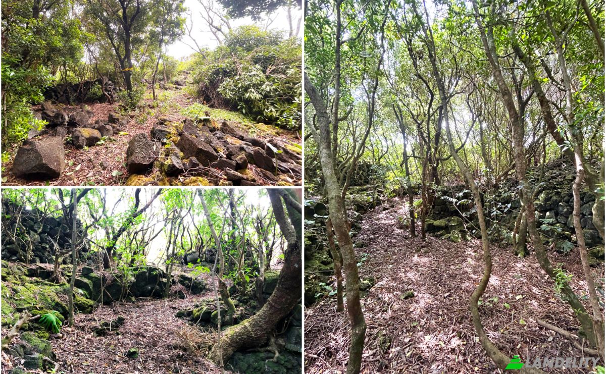 Land Lot for Sale Rua do Mar 23, 9940-213 Santana, Santana, Sao Roque do Pico, Azores, Portugal. Photo 12