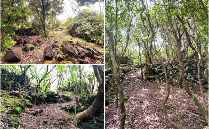 Land Lot for Sale Rua do Mar 23, 9940-213 Santana. Photo#12