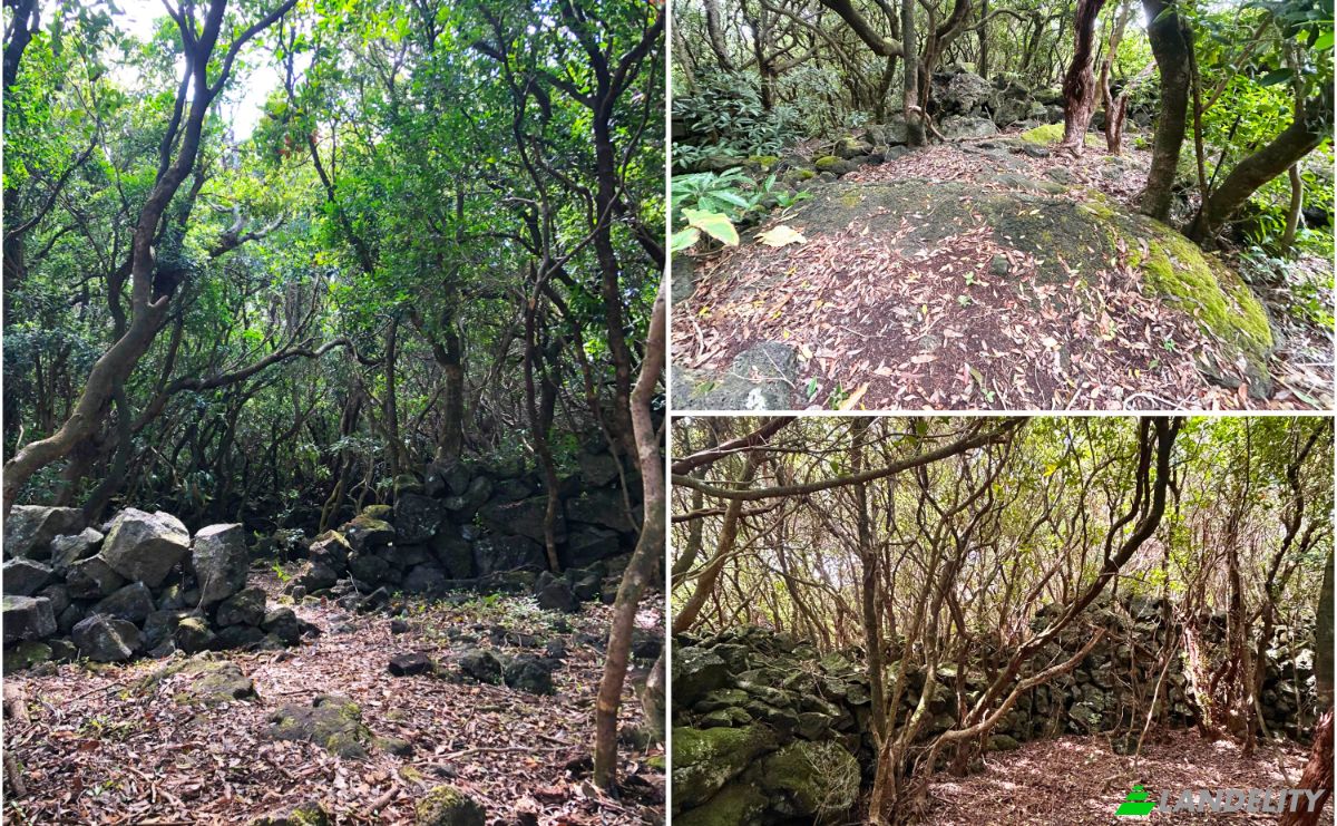 Land Lot for Sale Rua do Mar 23, 9940-213 Santana, Santana, Sao Roque do Pico, Azores, Portugal. Photo 14