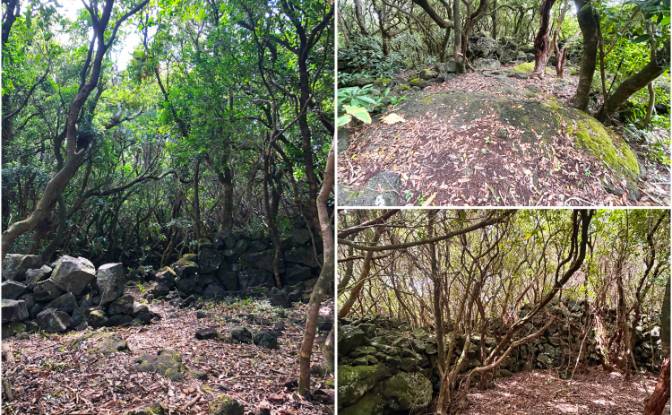 Land Lot for Sale Rua do Mar 23, 9940-213 Santana. Photo#14