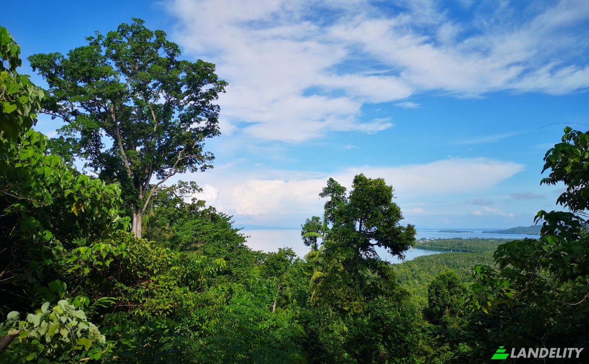 Investissement/Développement à vendre Wayabula, Morotai Island Regency, North Maluku, Indonesia, Daruba, Kec Morotai Sel Bar, Kabupaten Pulau Morotai, Maluku Utara. Photo 10