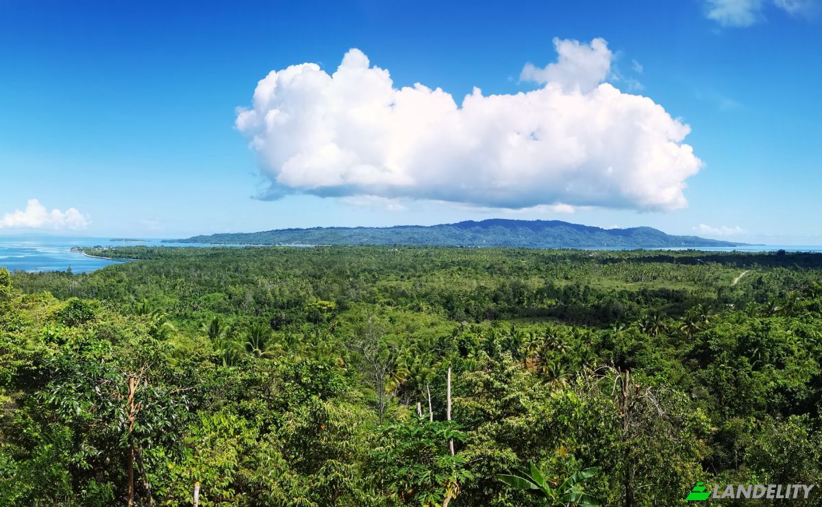 Investissement/Développement à vendre Wayabula, Morotai Island Regency, North Maluku, Indonesia, Daruba, Kec Morotai Sel Bar, Kabupaten Pulau Morotai, Maluku Utara. Photo 3