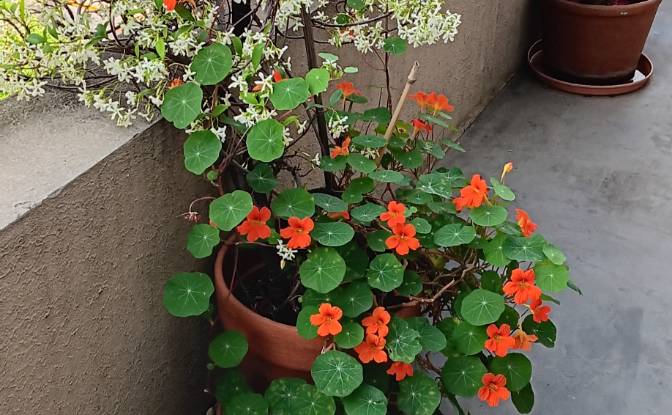 Apartment for Sale Humberto 1 355. Photo#4