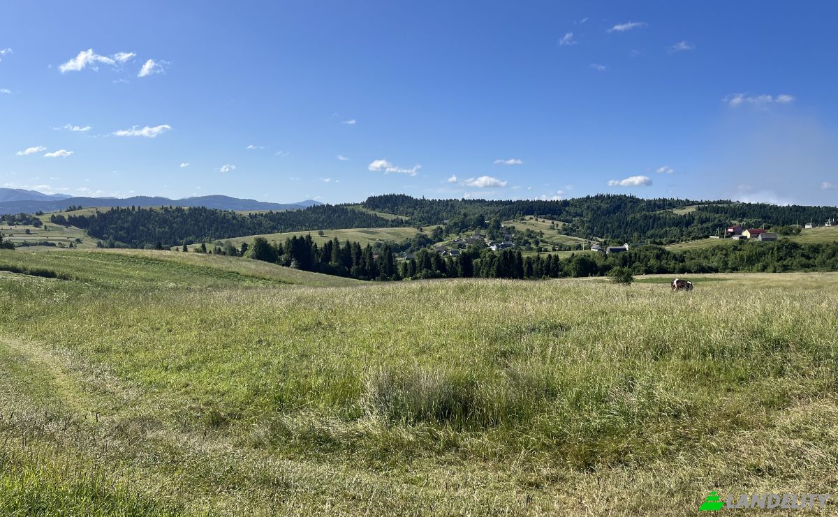 Investing/Development for Sale Lvivska oblast, Melnychne, Turkivskyi district, Lviv Oblast, Ukraine. Photo 3