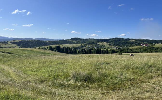 Investing/Development for Sale Lvivska oblast. Photo#3 Investing/Development for Sale Lvivska oblast. Photo#3