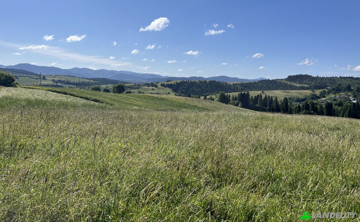 Investing/Development for Sale Lvivska oblast, Melnychne, Turkivskyi district, Lviv Oblast, Ukraine. Photo 5