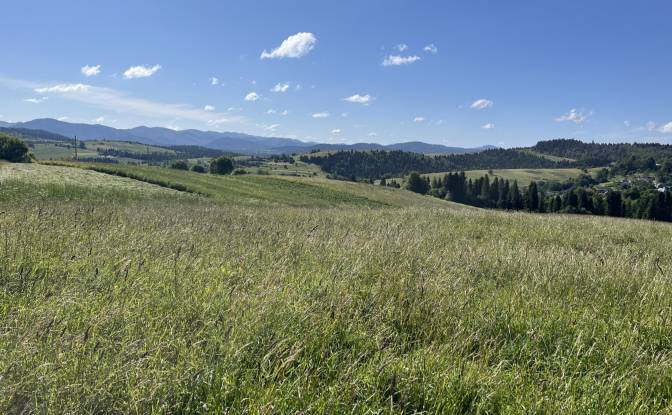 Investing/Development for Sale Lvivska oblast. Photo#5 Investing/Development for Sale Lvivska oblast. Photo#5