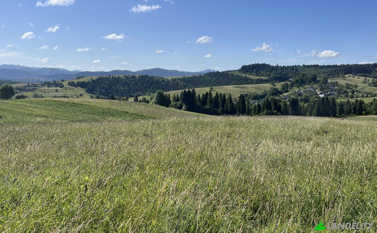 Investing/Development for Sale Lvivska oblast, Melnychne, Turkivskyi district, Lviv Oblast, Ukraine. Photo 6