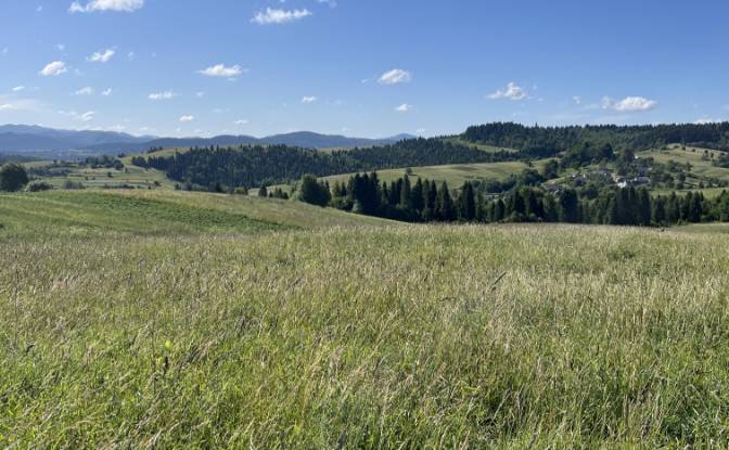 Investing/Development for Sale Lvivska oblast. Photo#6 Investing/Development for Sale Lvivska oblast. Photo#6