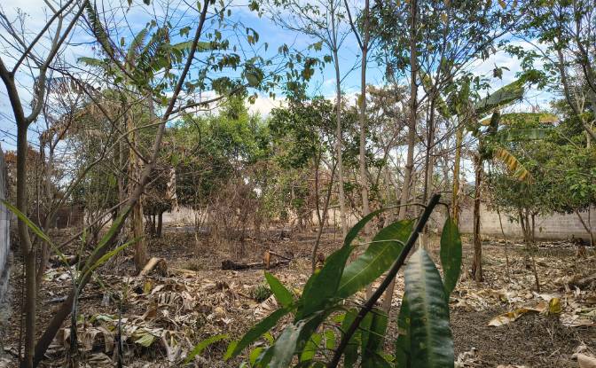 Land Lot for Sale Av Teniente Ricardo Mancia. Photo#5 Land Lot for Sale Av Teniente Ricardo Mancia. Photo#5