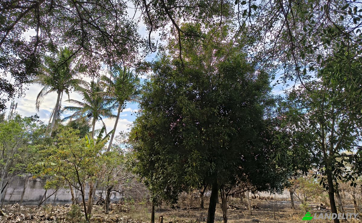 Land Lot for Sale Av Teniente Ricardo Mancia, El Congo, Santa Ana Este, Santa Ana Department, El Salvador. Photo 6