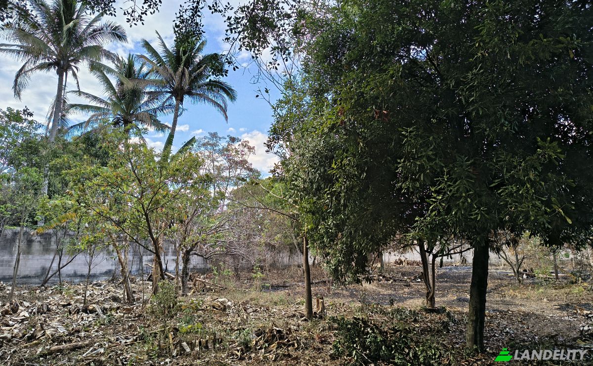 Land Lot for Sale Av Teniente Ricardo Mancia, El Congo, Santa Ana Este, Santa Ana Department, El Salvador. Photo 7