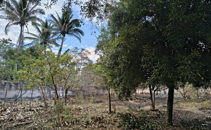 Land Lot for Sale Av Teniente Ricardo Mancia. Photo#7 Land Lot for Sale Av Teniente Ricardo Mancia. Photo#7