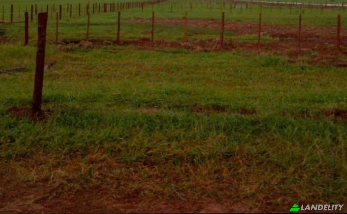 Investing/Development for Sale 010708 Nueva Esperanza, Nueva Esperanza, Yby Yau, Concepcion Department, Paraguay. Photo 13
