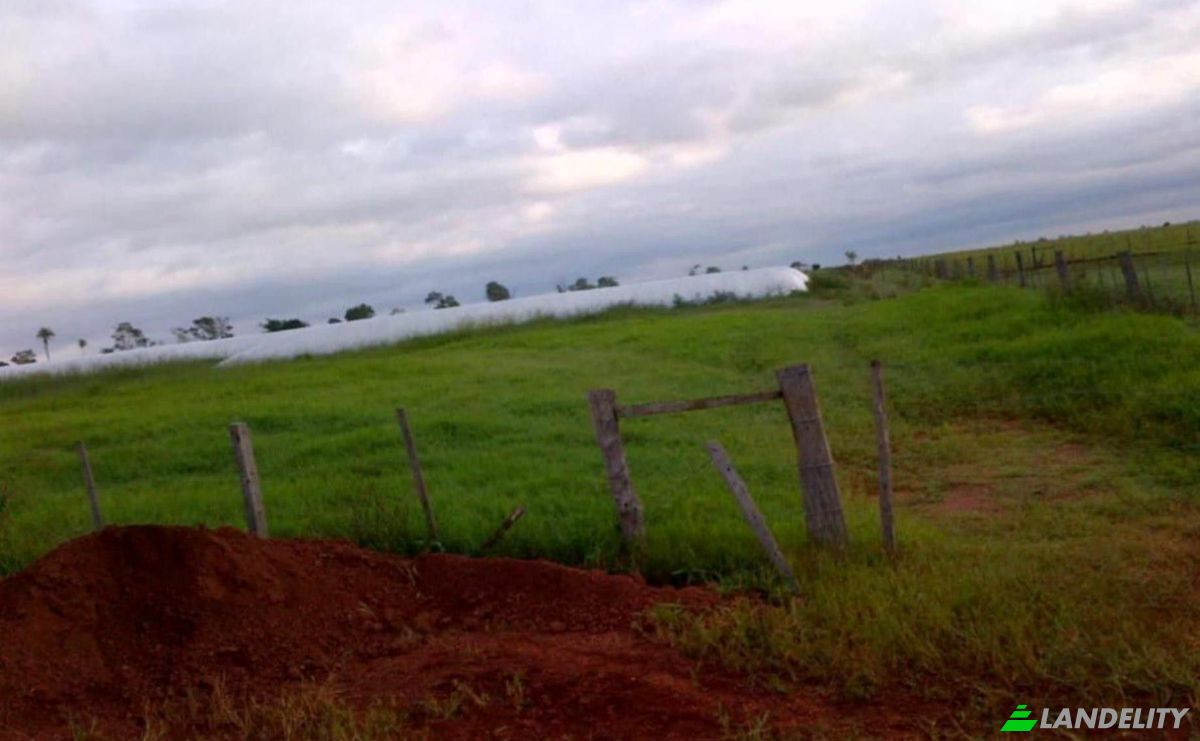 Investing/Development for Sale 010708 Nueva Esperanza, Nueva Esperanza, Yby Yau, Concepcion Department, Paraguay. Photo 14