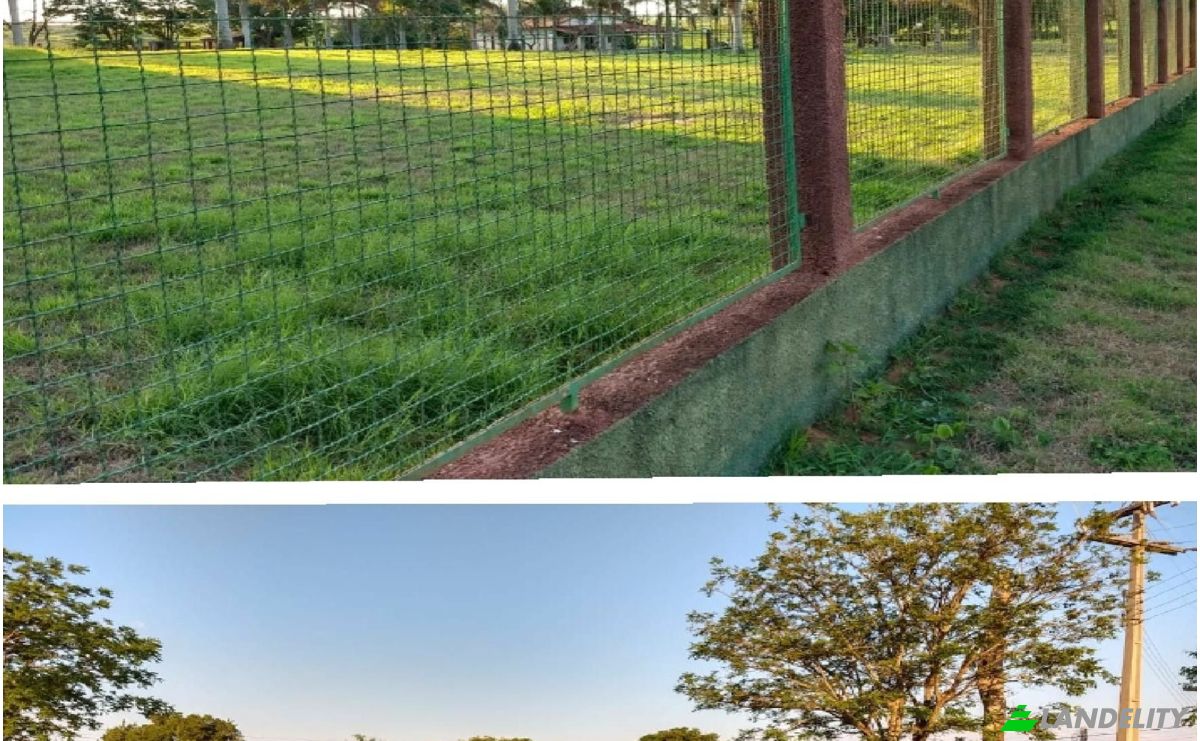Investing/Development for Sale 010708 Nueva Esperanza, Nueva Esperanza, Yby Yau, Concepcion Department, Paraguay. Photo 2