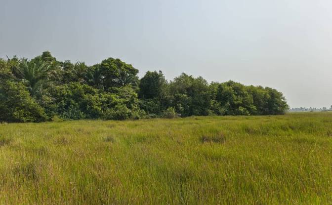 Investition/Entwicklung zu verkaufen - Grand-Lahou, Cote d'Ivoire