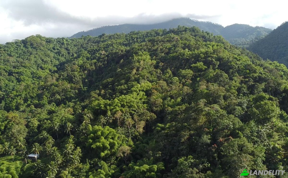 Land Lot for Sale Hope Bay, Portland Parish, Jamaica. Photo 7