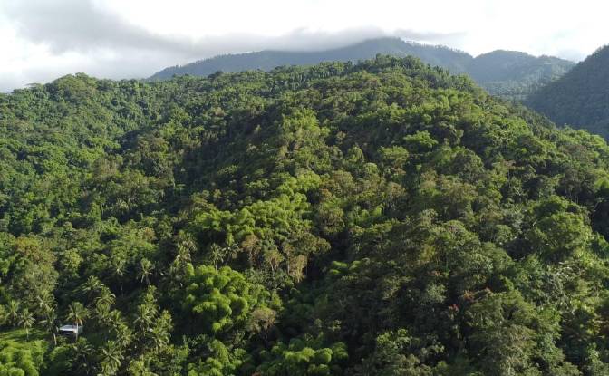 Land Lot for Sale Hope Bay, Portland Parish. Photo#7