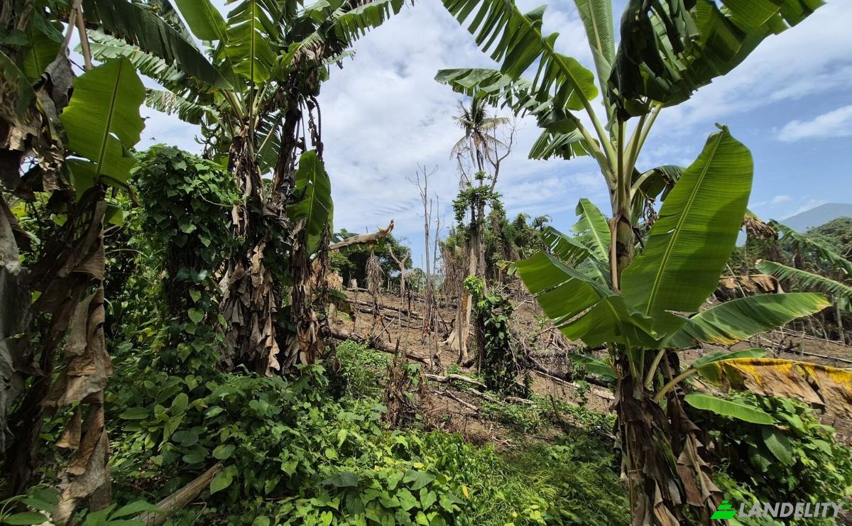 Land Lot for Sale Hope Bay, Portland Parish, Jamaica. Photo 3