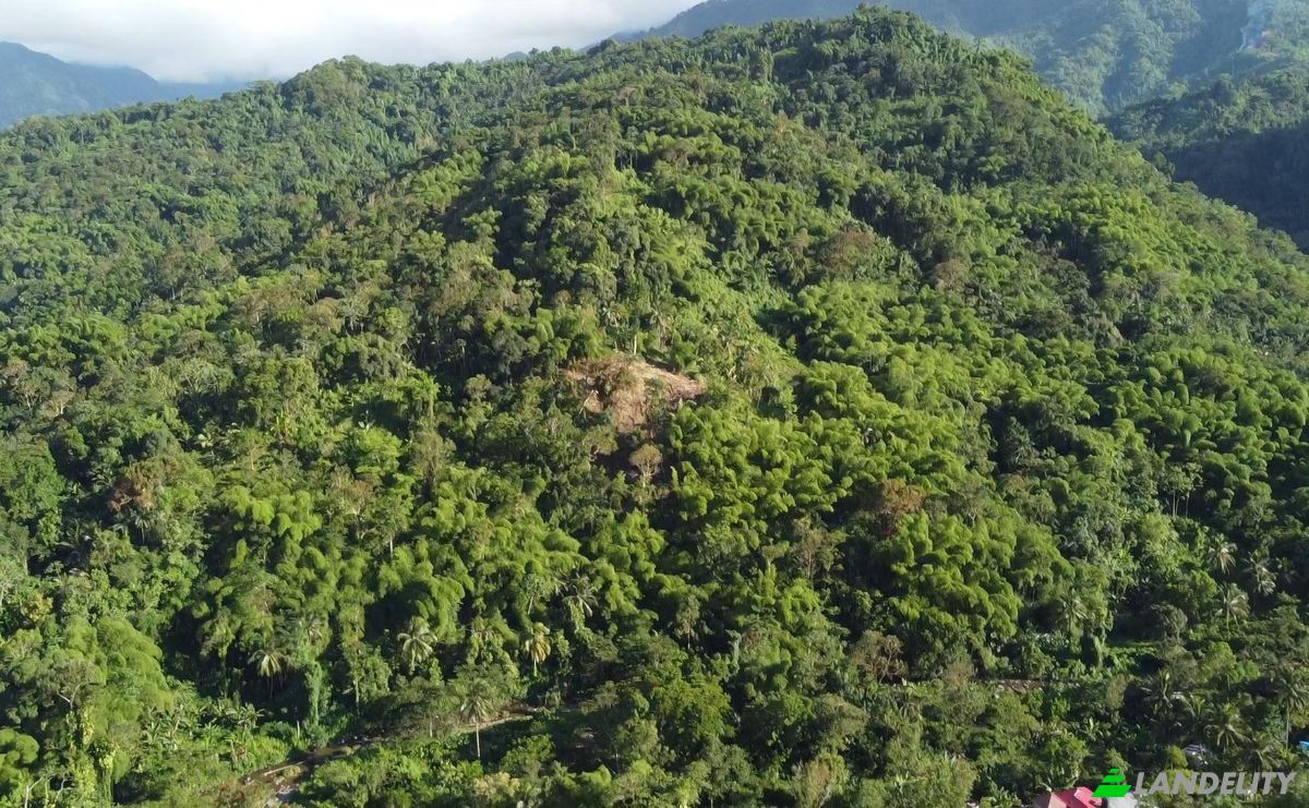 Land Lot for Sale Hope Bay, Portland Parish, Jamaica. Photo 4