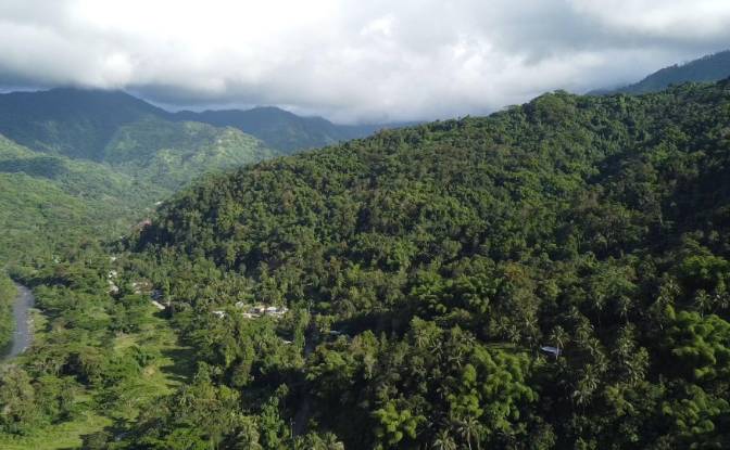 Land Lot for Sale Hope Bay, Portland Parish. Photo#5