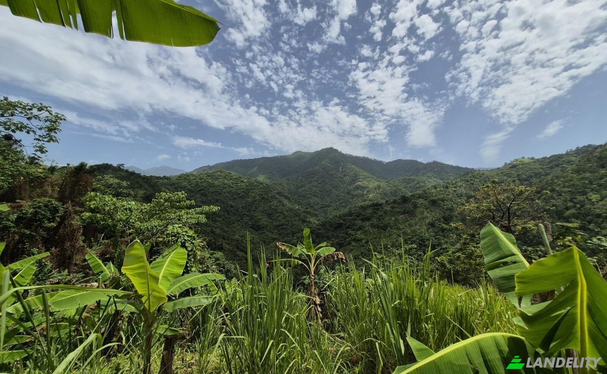 Land Lot for Sale Hope Bay, Portland Parish, Jamaica. Photo 1