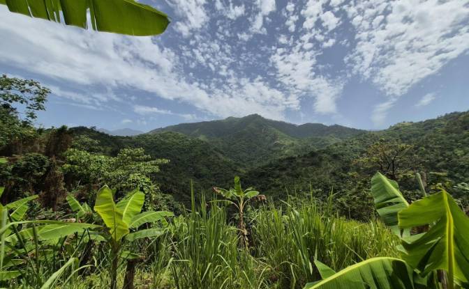 Land Lot for Sale - Hope Bay, Jamaica