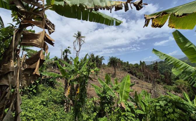 Land Lot for Sale Hope Bay, Portland Parish. Photo#2