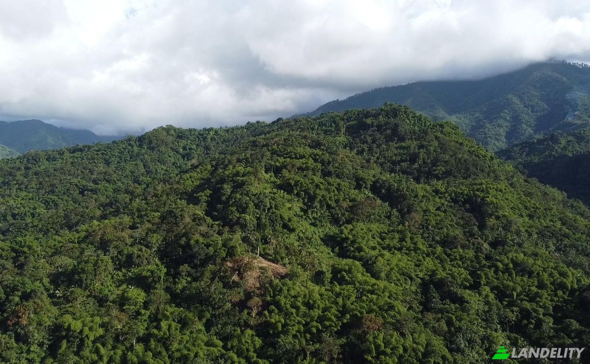 Land Lot for Sale Hope Bay, Portland Parish, Jamaica. Photo 6