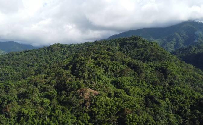 Land Lot for Sale Hope Bay, Portland Parish. Photo#6