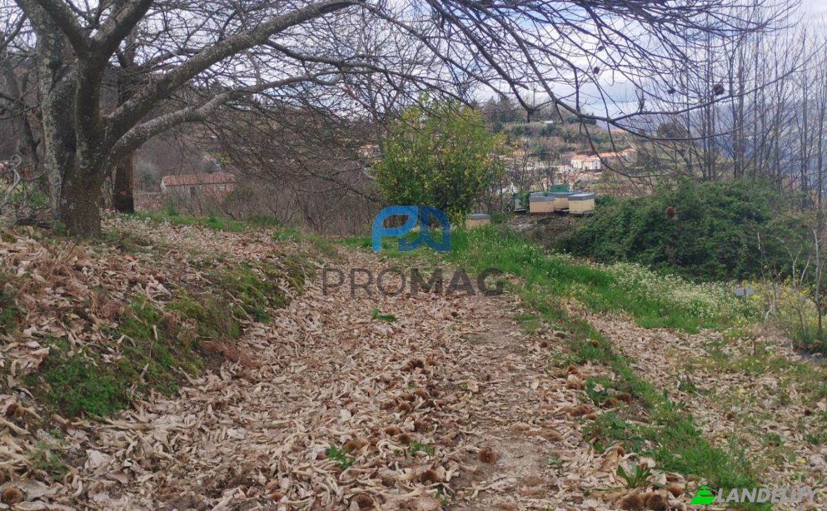 Lote de terreno en venta Arco, 4660 Resende, Resende, Viseu District, Portugal. Foto 10