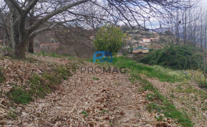 Lote de terreno en venta Arco, 4660 Resende. Foto#10