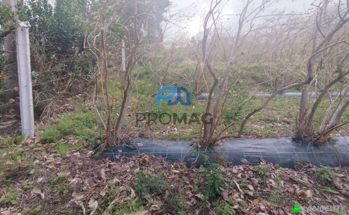 Lote de terreno en venta Arco, 4660 Resende, Resende, Viseu District, Portugal. Foto 13