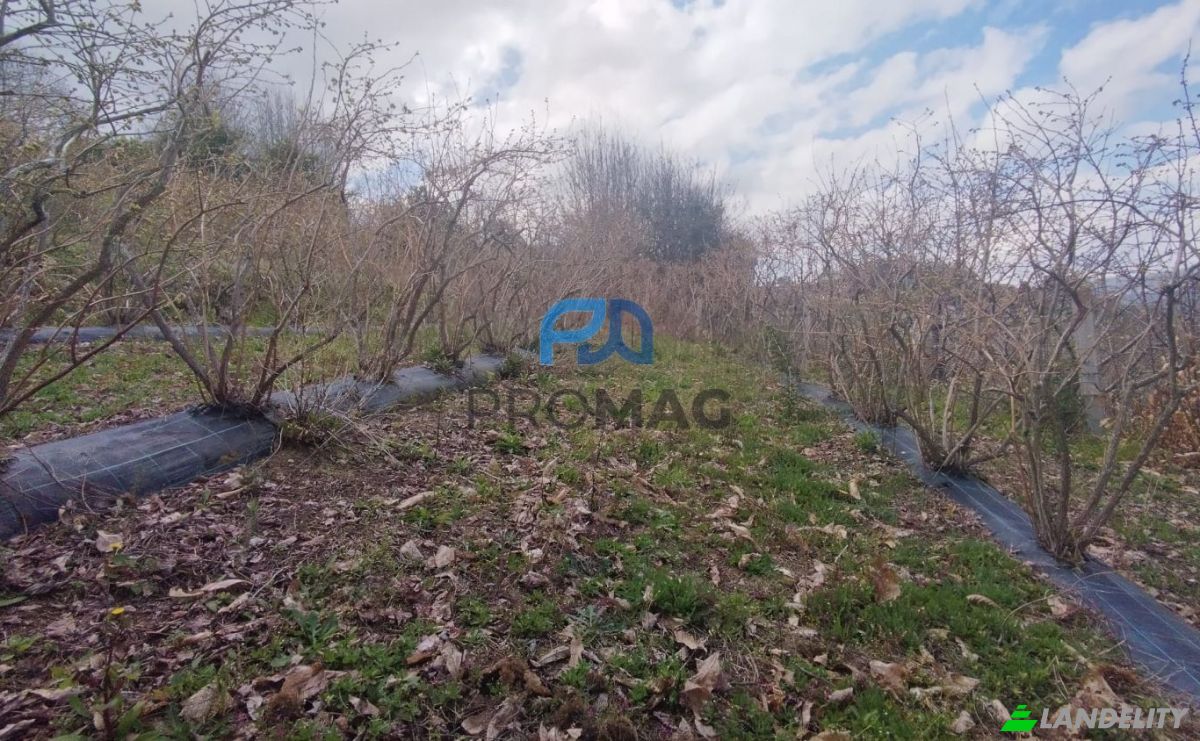 Lote de terreno en venta Arco, 4660 Resende, Resende, Viseu District, Portugal. Foto 14