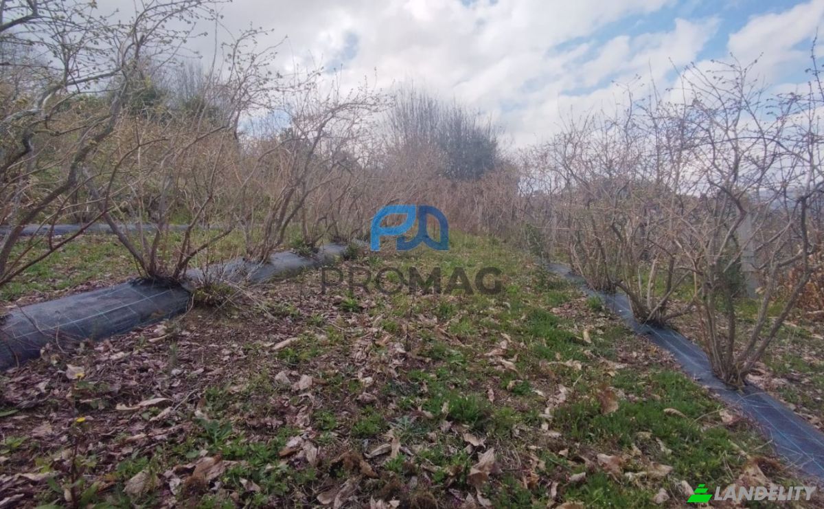 Lote de terreno en venta Arco, 4660 Resende, Resende, Viseu District, Portugal. Foto 16