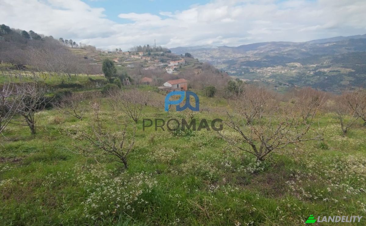 Lote de terreno en venta Arco, 4660 Resende, Resende, Viseu District, Portugal. Foto 2