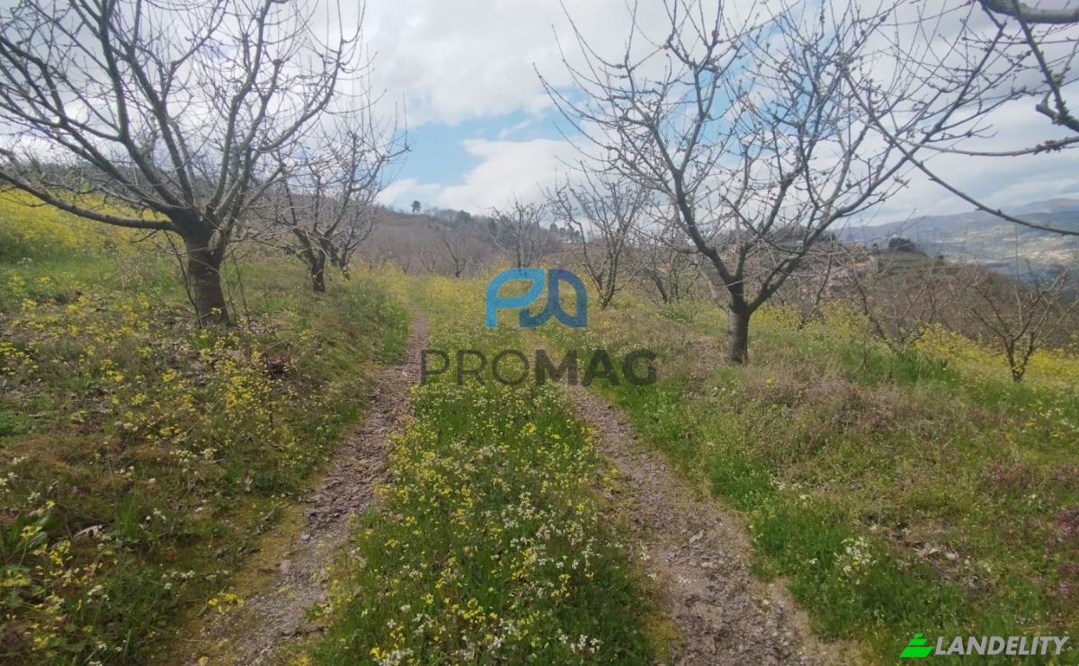 Lote de terreno en venta Arco, 4660 Resende, Resende, Viseu District, Portugal. Foto 3