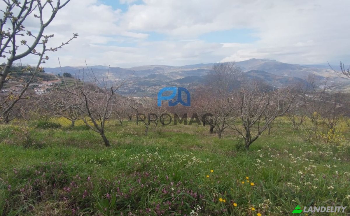 Lote de terreno en venta Arco, 4660 Resende, Resende, Viseu District, Portugal. Foto 4