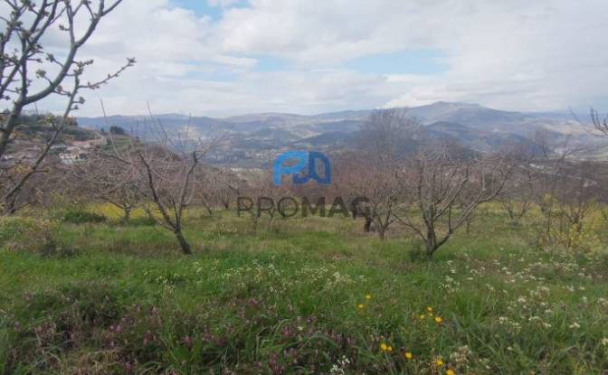 Lote de terreno en venta Arco, 4660 Resende. Foto#4