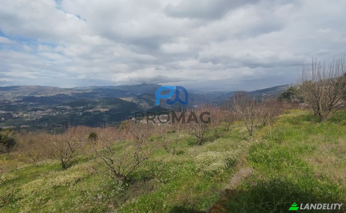 Lote de terreno en venta Arco, 4660 Resende, Resende, Viseu District, Portugal. Foto 5