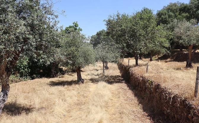 Granja/Rancho en venta EM1088 5, 7330. Foto#18 Granja/Rancho en venta EM1088 5, 7330. Foto#18