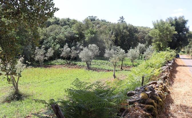 Granja/Rancho en venta EM1088 5, 7330. Foto#7 Granja/Rancho en venta EM1088 5, 7330. Foto#7