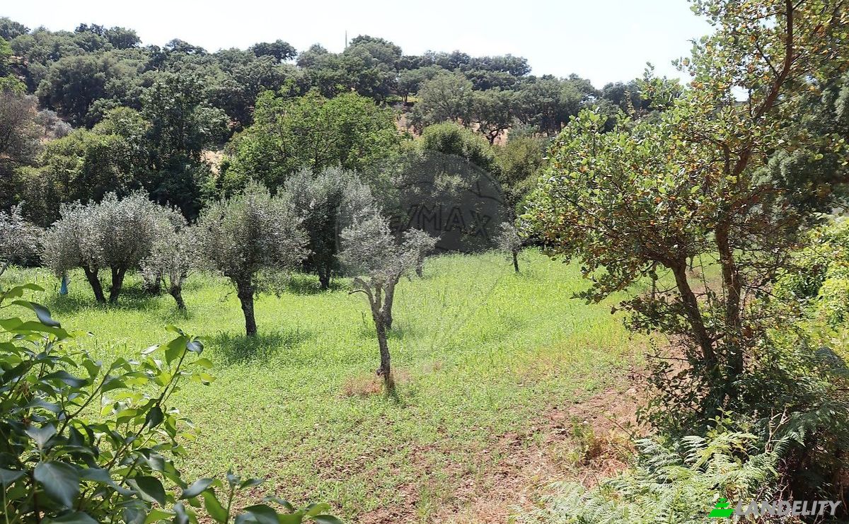 Granja/Rancho en venta EM1088 5, 7330, Santo Antonio das Areias, Marvao, Portalegre District, Portugal. Foto 8