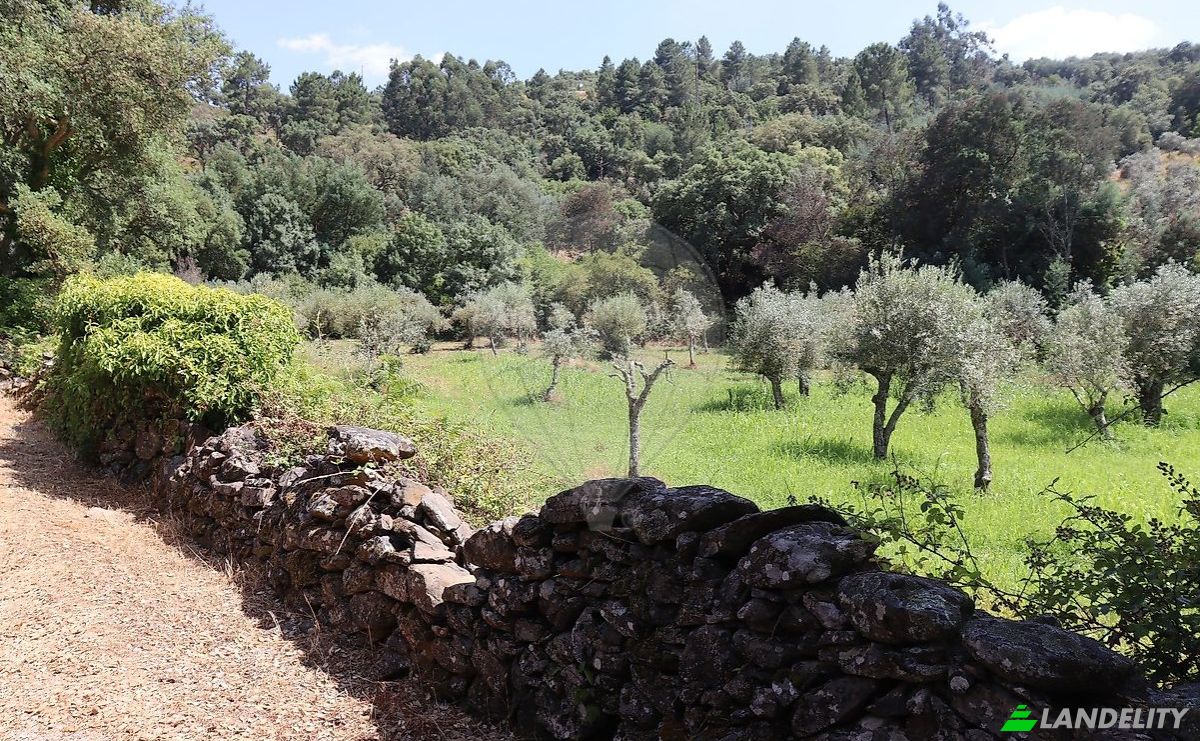 Granja/Rancho en venta EM1088 5, 7330, Santo Antonio das Areias, Marvao, Portalegre District, Portugal. Foto 9