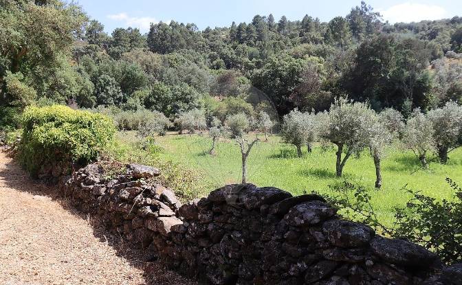 Granja/Rancho en venta EM1088 5, 7330. Foto#9 Granja/Rancho en venta EM1088 5, 7330. Foto#9