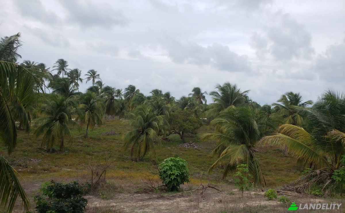 Land Lot for Sale R Joao Tome, Aranau, Acarau, Ceara, Brazil, 62580-000. Photo 1